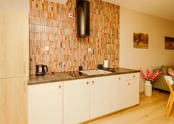 Apartment Monic Ogrod Mechelinki